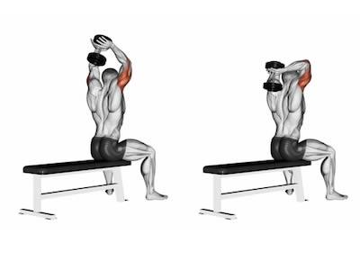 ناحیه فشار عضله در حرکت پشت بازو تک دمبل جفت دست پشت سر نشسته