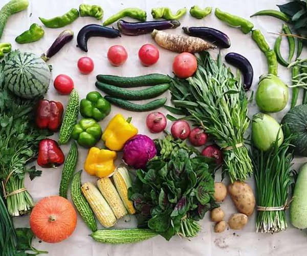 در مصرف سبزیجات بیشتر دقت کنید