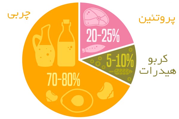 درصد غذاهای مصرفی رژیم کتوژنیک