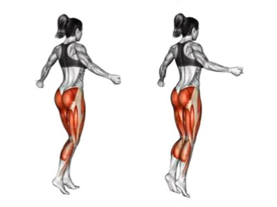 عضلات درگیر ساق پا پرشی