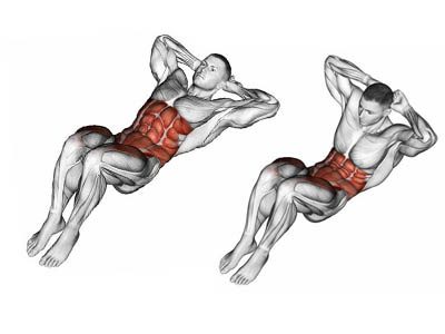 عکس عضلات درگیر در حرکت شکم بوکسوری دمبل تناوبی