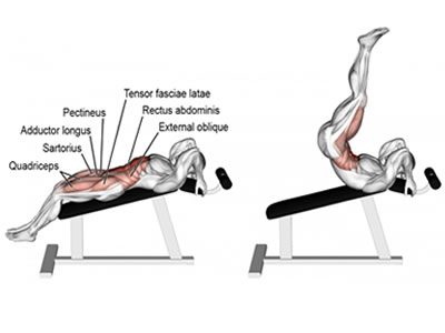 عکس عضلات درگیر در حرکت زیر شکم خوابیده روی میز شیبدار