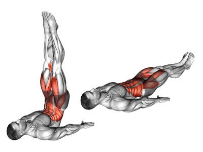عکس عضلات درگیر در حرکت لگ رایز با بالا آوردن باسن