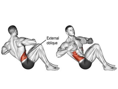 عکس عضلات درگیر در حرکت دراز نشست چرخشی