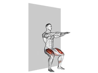 عکس عضلات درگیر در حرکت وال سیت