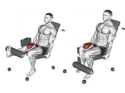 عکس عضلات درگیر در حرکت جلو پا دستگاه تک پا
