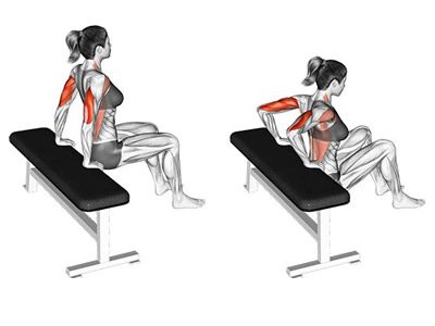 عکس عضلات درگیر در حرکت پشت بازو دیپ زانو خم