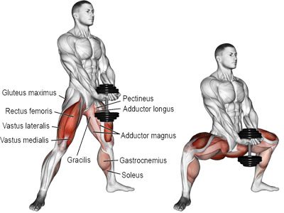 عکس عضلات درگیر در حرکت اسکوات دمبل از جلو پا باز