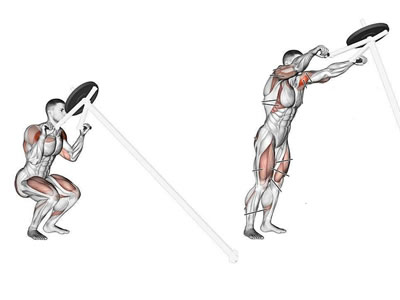 عکس عضلات درگیر در حرکت اسکوات لندماین از پشت