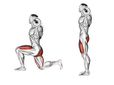عکس عضلات درگیر در حرکت لانجز معکوس لندماین تناوبی